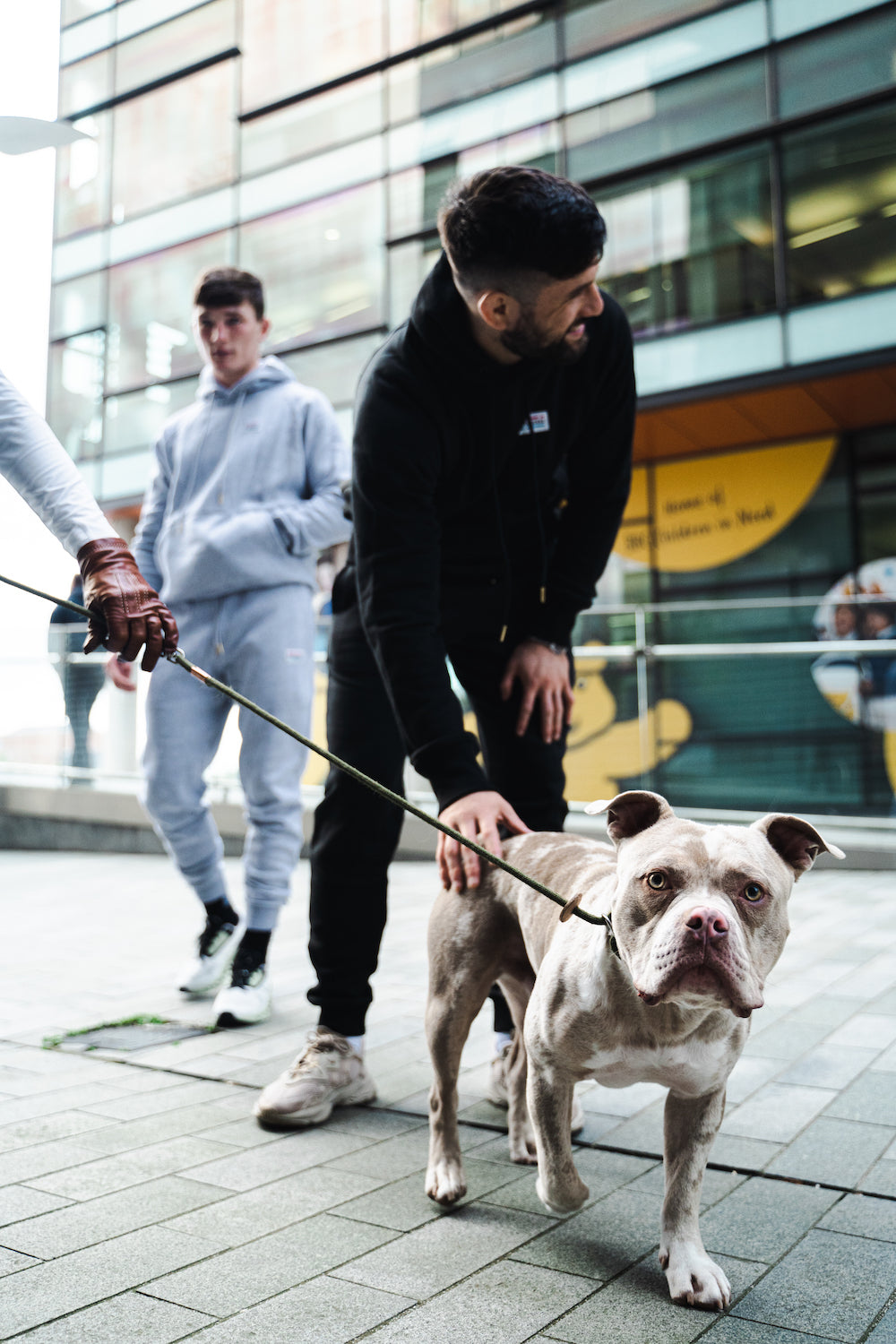 What makes the Pro Joggers so special?